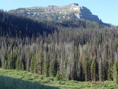 GDMBR: An old open mountain-side mine.